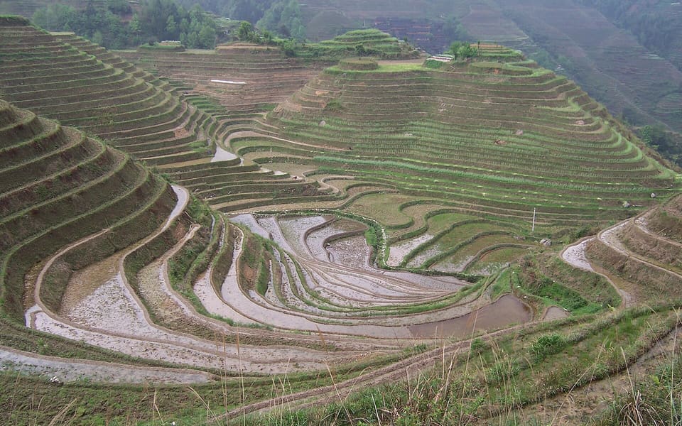 Curving flooded rice terraces layered across the mountains at Longji in Guangxi