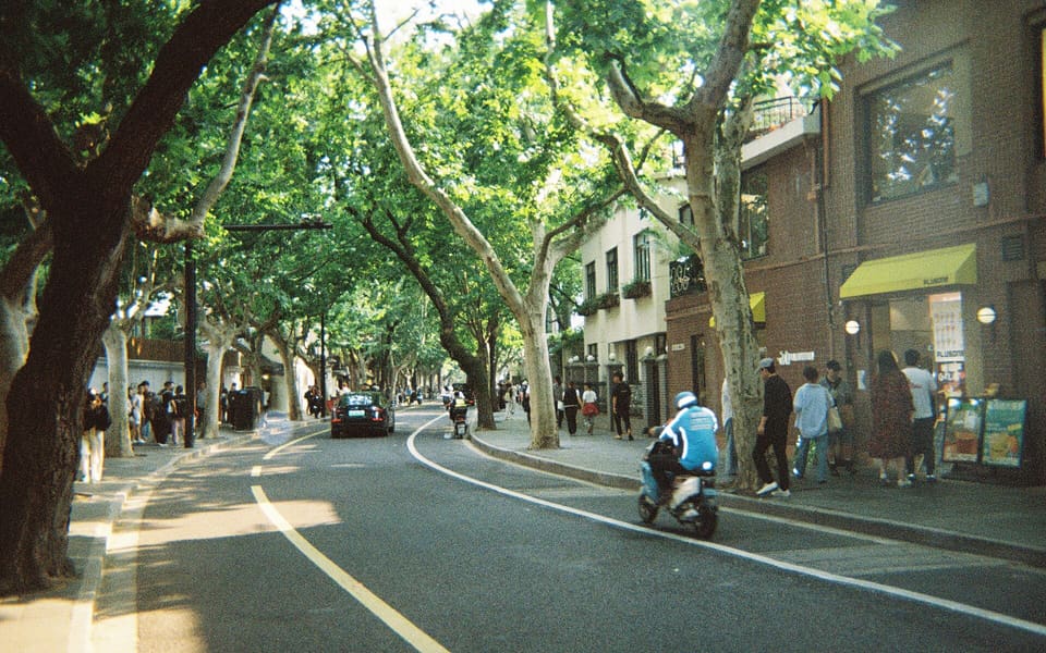 Wukang Road curving beneath mature plane trees and past historic neighborhood buildings in Shanghai