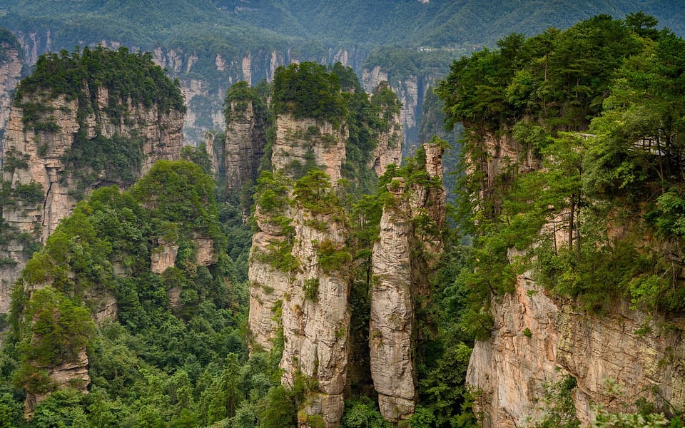 Forested sandstone pillars filling the valley at Zhangjiajie National Forest Park
