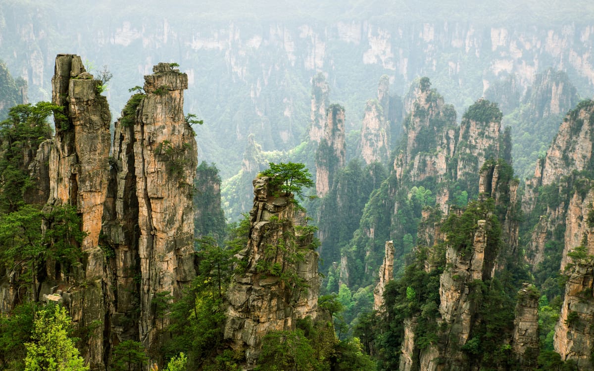 Sandstone pillars rising through mist and dense forest in Zhangjiajie National Forest Park